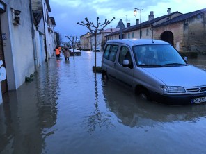 IMG_1156.JPEG IMG_1156.JPEG