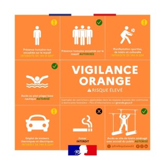 vigilange orange.jpg